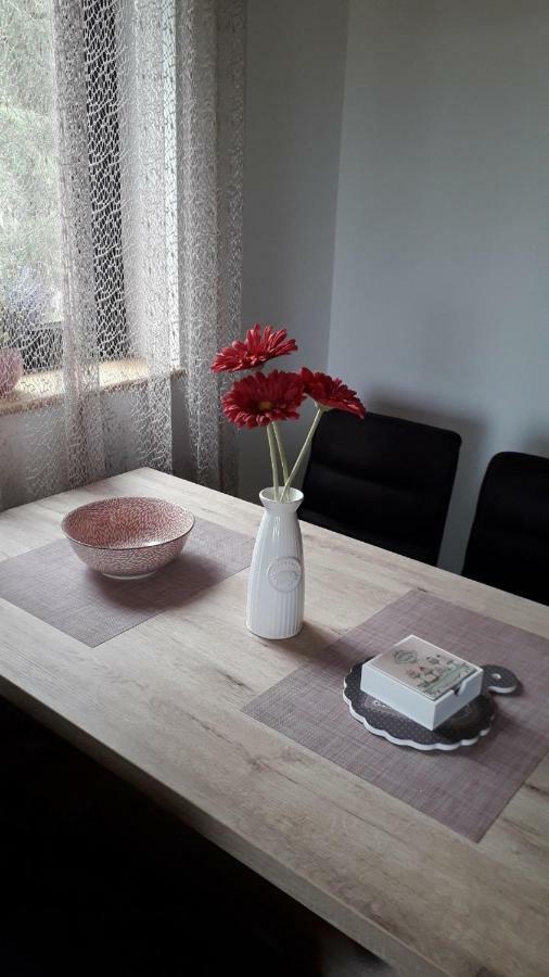 Apartman Nana Svetogorska 19 ,Stan 17 Zlatibor Exterior foto
