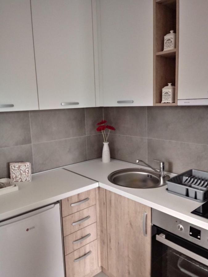 Apartman Nana Svetogorska 19 ,Stan 17 Zlatibor Exterior foto