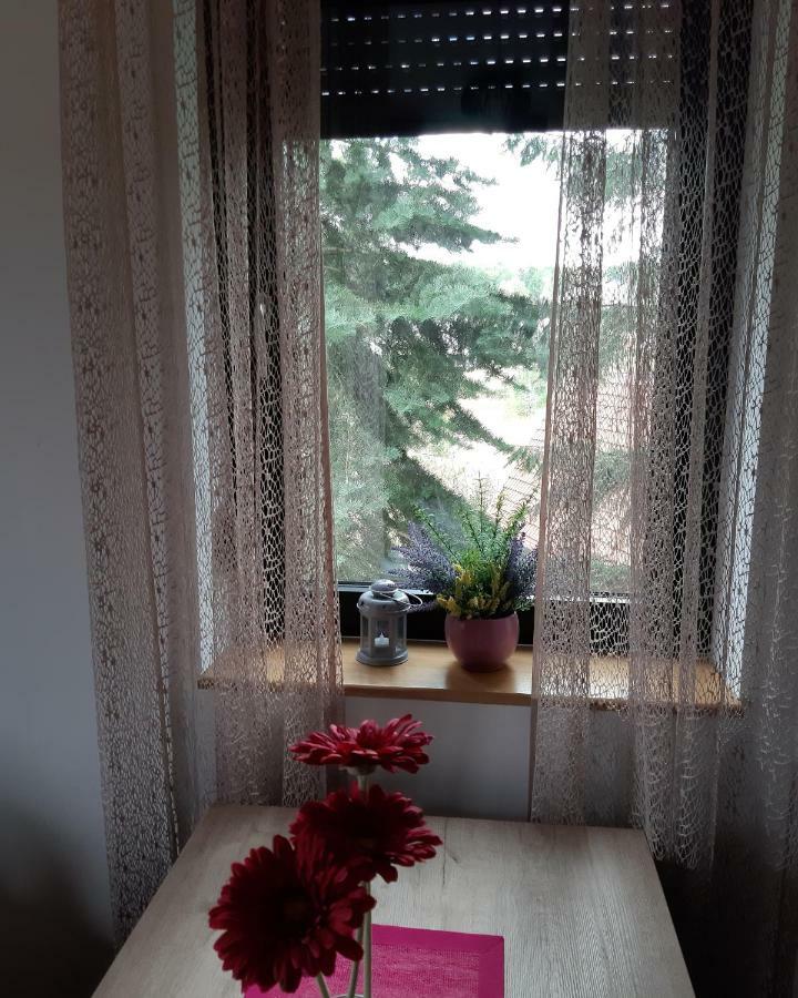 Apartman Nana Svetogorska 19 ,Stan 17 Zlatibor Exterior foto