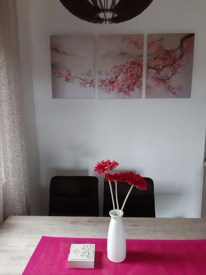 Apartman Nana Svetogorska 19 ,Stan 17 Zlatibor Exterior foto